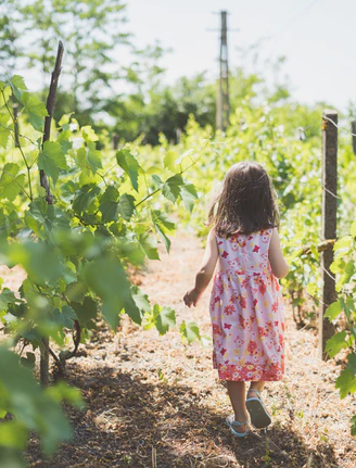 Don't Sell the farm, protect it with life insurance