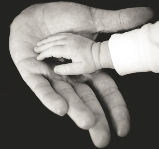 Life Insurance Policy